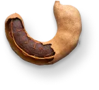 Tamarind